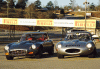 [thumbnail of 1962 Jaguar E-Type & 1972 Jaguar 2+2 V12 fv.jpg]